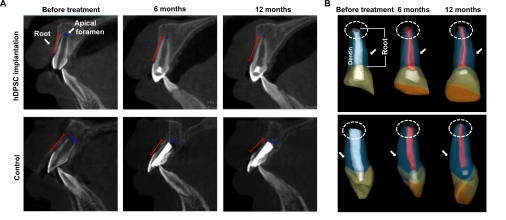 15379234517621375LWe.png 圖片4.png