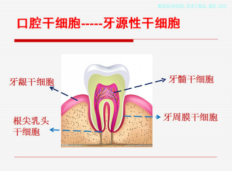 1563759587797610p61I.png 微信截圖_20190722093532.png