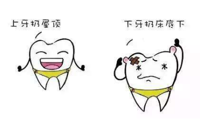 15676443832138013FM8.png 圖片1.png